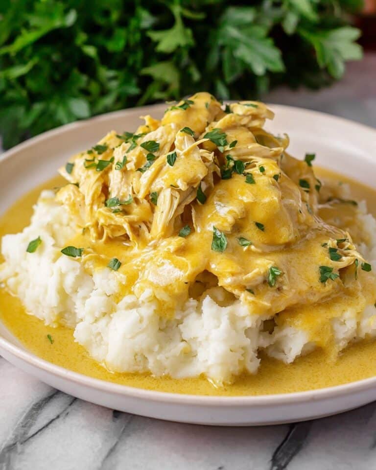 Crock Pot Chicken and Gravy Recipe