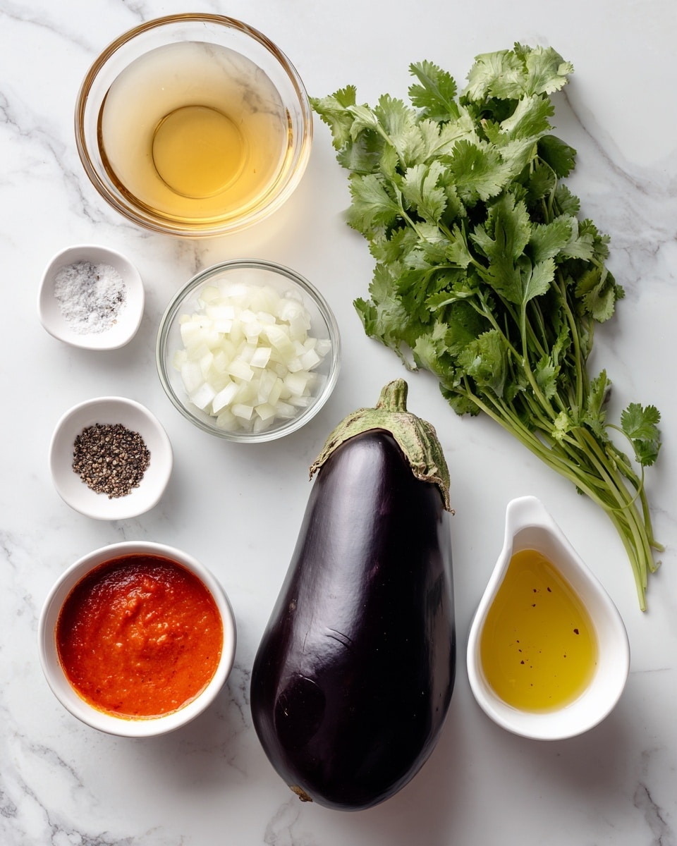 The image shows a whole dark purple eggplant placed in the middle on a white marbled surface. To the top right of the eggplant is a small white bowl filled with chopped white onion. Next to the onion bowl is a green bunch of fresh cilantro leaves with stems. Above the eggplant to the left is a clear glass bowl with light yellow apple cider vinegar. Below that is a small clear glass bowl holding salt and black pepper. On the bottom left is a white small pitcher with bright red tomato puree inside. Next to the tomato puree is a white small jug with light yellow frying oil that has small black specks inside. All items are arranged neatly with labels identifying each ingredient. Photo taken with an iphone --ar 4:5 --v 7