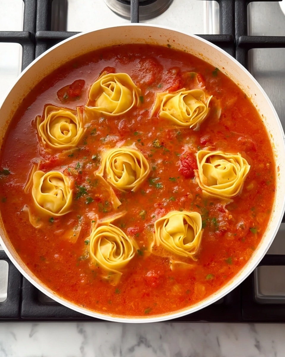 A white pan filled with bright red tomato soup with visible chunks of tomatoes and bits of green herbs. Floating on top are eight small nests of light yellow flat pasta looking soft and slightly wet, evenly spaced in the soup. The pan is placed on a stove with black grates, and the background is a white marbled surface. The scene is clear and bright with a close-up view showing the texture of both the soup and pasta nests well. photo taken with an iphone --ar 4:5 --v 7